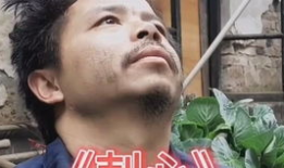 神经哥,神经科学视角下的认知与行为奥秘探索